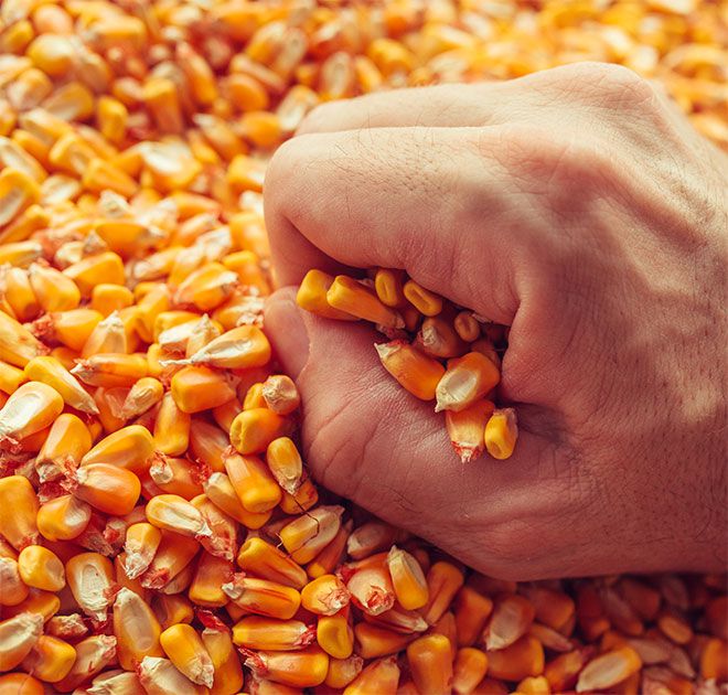 farmers_hand_over.jpg
