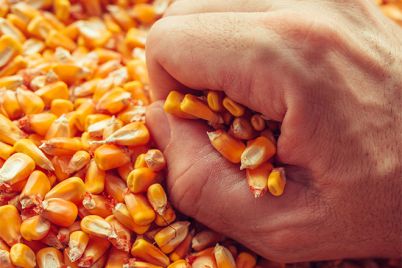 farmers_hand_over.jpg
